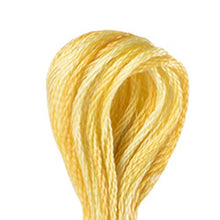 DMC Colour Variations Embroidery Cotton